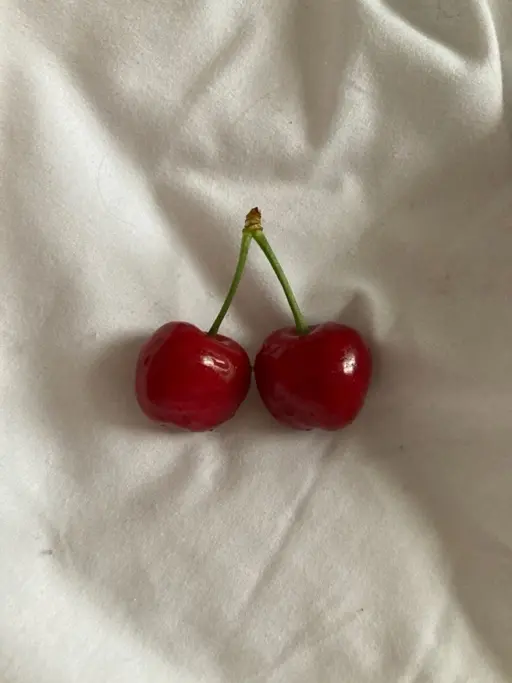 レディースカットモデル🍒必ず補足説明をお読みください🙂‍↕️