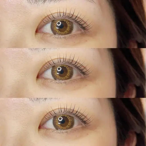 13日(月)限定✨パリジェンヌラッシュリフト¥3,300