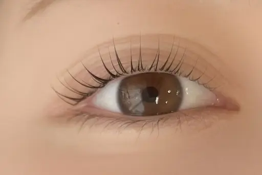 🎀まつ毛パーマデモモデル🎀⚠️エクステオフ不可⚠️注意事項必読⚠️