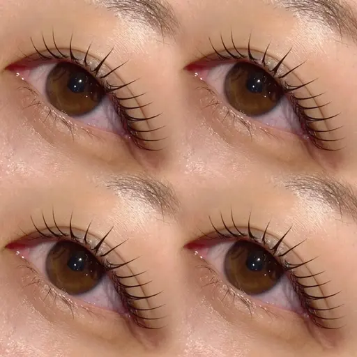 〖 ミニモご新規様限定𓈒✵🌸 〗選べる ˹ ラッシュリフト ˼