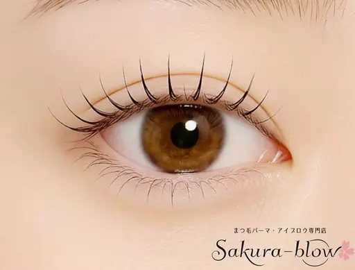 まつげパーマ レッスンモデル