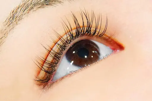 《今，話題❣️次世代印象まつげパーマ》パリジェンヌラッシュリフト❗️目元ぱっちり⭐️安心のまつ毛トリートメント付き✨