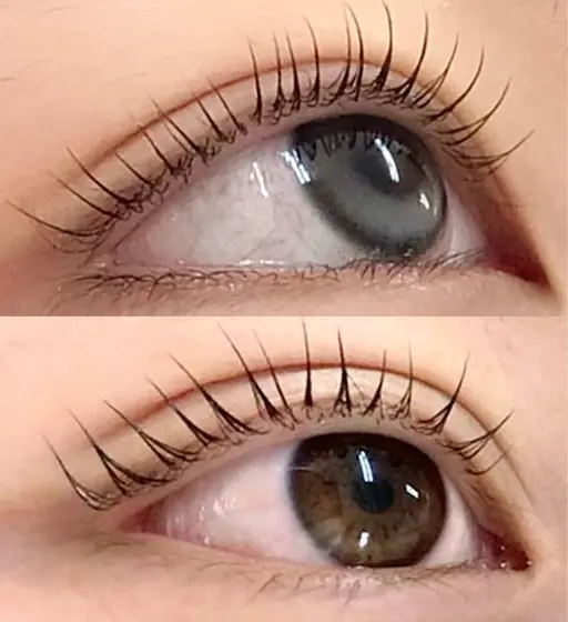 ✨🩷パリジェンヌ🩷✨