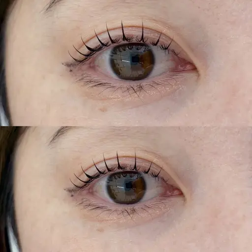 【⭐️4/14 11〜16時(正時)17時半のみ‼️】まつげパーマ無料モデル💕ご新規様限定✨【1時間メニュー】