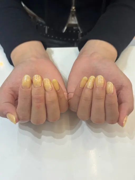 💛オフなしワンカラー💛