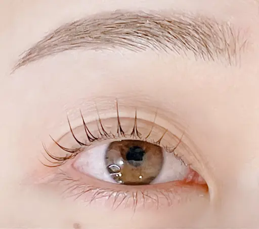 美眉スタイリング(Wax脱毛)(メイク込)