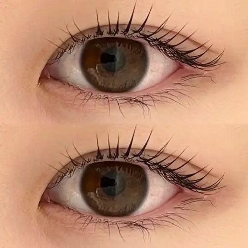 当日予約❗️✦.°上まつパ/ラッシュリフトorパリジェンヌ🤍トリートメント付き