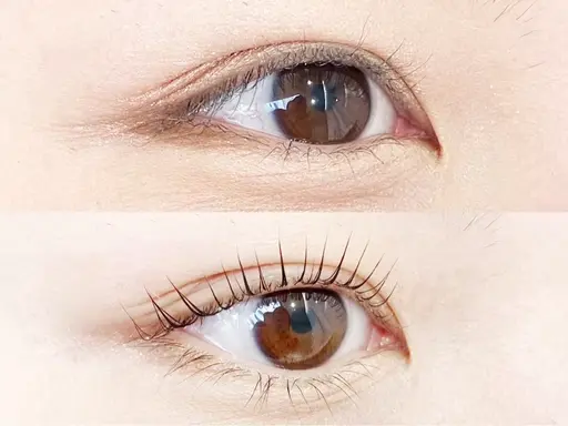 【4月平日限定🎀日付指定のお得なクーポン⟡.·】デザインラッシュリフト(まつげパーマ)