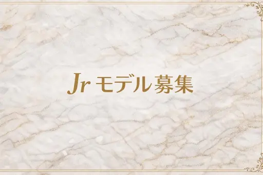 ✨✨🌸【限定】🌸HANDオフなし ワンカラーorグラデーション(マグネット変更可)💅⭐️¥4490⇒⭐¥1990