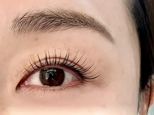 🩷パリジェンヌラッシュリフト🩷5/1(金)13:30​〜​限定🩷技術チェックモデル募集🩷