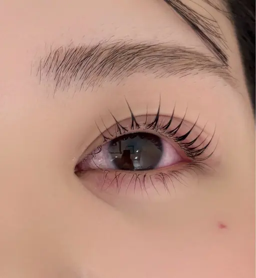 ラッシュリフト