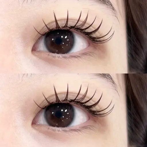 🎀平日予約ご新規様限定♡フラットラッシュ120本🤍韓国風束感仕上げᰔᩚ