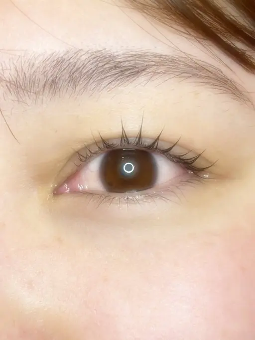 ドーリーラッシュリフト