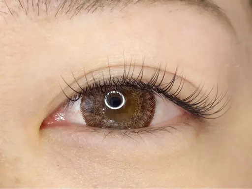 フラット/シングルラッシュ80本✨️