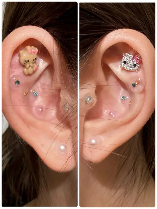 🌻耳ツボジュエリー💎12パーツ