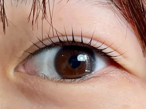 平日限定クーポン☘️Tr付きラッシュリフト❤️‍🔥