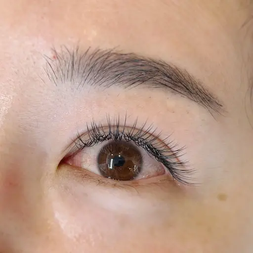 【軽量フラットラッシュ 120本】【オフ込み】