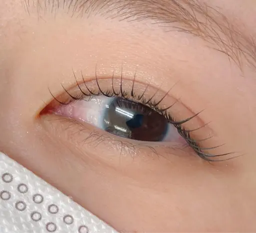 練習モデル★くるんとカール🧸まつ毛パーマ🧸エクステオフ不可