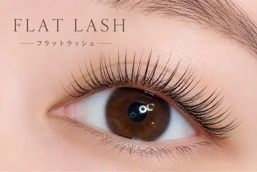 🌷フラットラッシュ🌷100本 《ご新規様オフ込み》