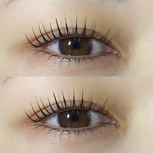 【練習モデル】4月限定🍋上下まつ毛パーマor上下パリジェンヌ🍋補足説明必ずお読み下さい🙇