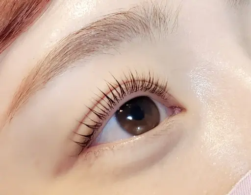 5/10まで限定◎⭐まつ毛パーマorパリジェンヌ(仕上げコーティング付き)