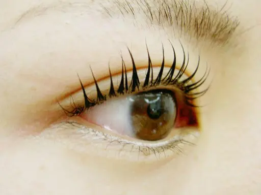 【豊富なロット数からご提案♪】最新技術まつ毛パーマ（Ｔｒ付）5500円→4400円