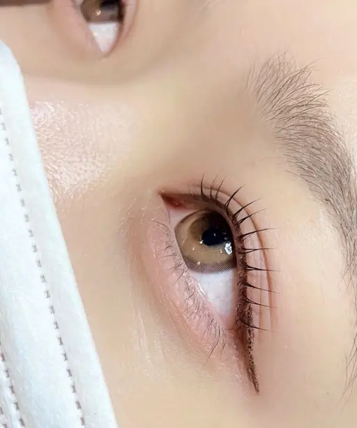 🌷 5月1日~14日限定 🌷 まつ毛パーマ👀💖        【 Ｃカール➕束感コーティング付き🪞✨ 】
