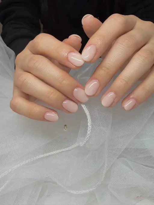 オープン記念価格 ワンカラー