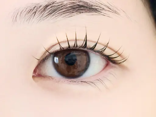 🌷《ご新規様》ラッシュリフト/まつ毛パーマ✨