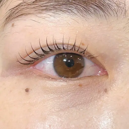 【4/21：12:00​〜​/19:00​〜​限定】🫧オフなしまつげパーマ無料モデル👀🫧