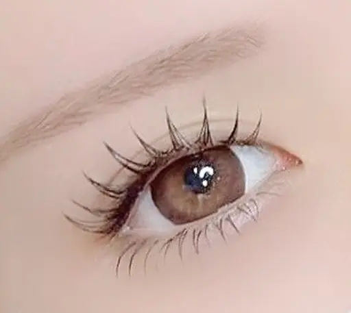 【LEDエクステ下】(練習モデル)フラットラッシュ下まつげ40本迄付け放題✨