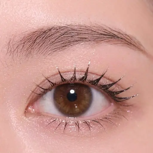 【ご新規様限定❤️‍🔥口コミ割‎】まつ毛パーマ¥4,450