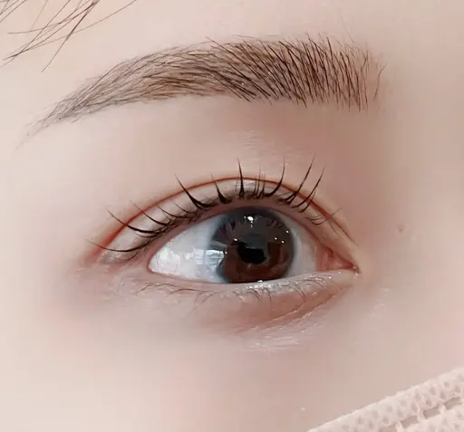 【4月限定】アイブロウWAX脱毛2,200円(税込)