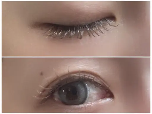 オールブラウン　120本迄