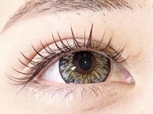 【練習モデル✨️】セーブルラッシュ 100本 オフ込