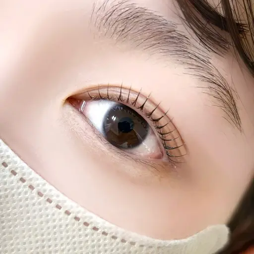 平日限定❗️❗️ 🎀上まつげパーマ🎀