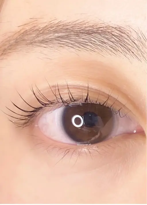 〖ご新規様〗minimo限定価格‼️束感ラッシュリフト🫧【コーティング・アイシャンプー付き✨】