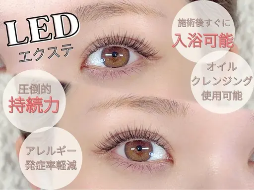 【オフなし】★【軽量＊高持続】LEDダブルフラット 50束（100本) ¥3000【Jr.アイリスト】✨すぐ予約限定