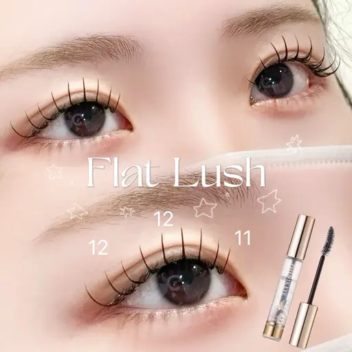 フラットラッシュ (​〜​100本まで)➕アイシャンプー➕コーティング💎オフ無料