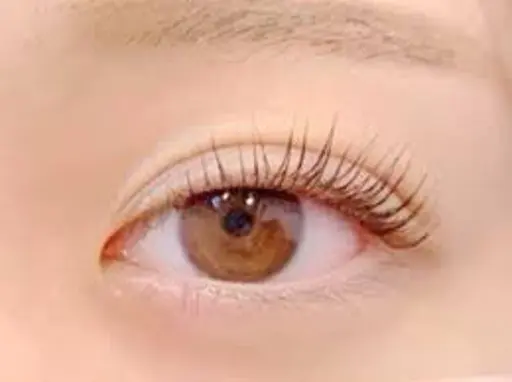 u-24限定 🫧パリジェンヌラッシュリフト🫧