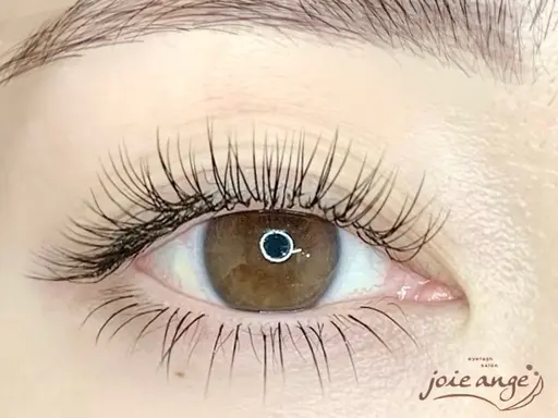 他店付け足し🆗フラットラッシュリペア30分（60本まで）🫧LED変更+700円