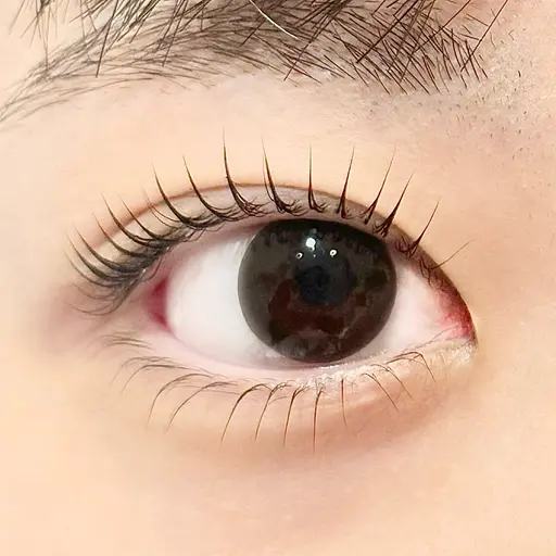 【ミニモ学割🎀】まつ毛パーマ・ラッシュリフト・パリジェンヌ👗