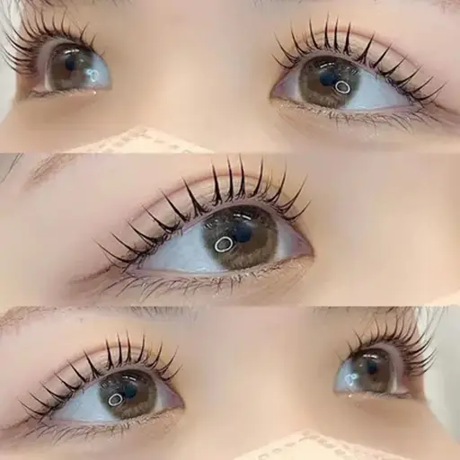 {人気No.1}🪭韓ドル風束感🤍💫パリジェンヌラッシュリフト🐰🪭(マツエクOFFある方申告ください)