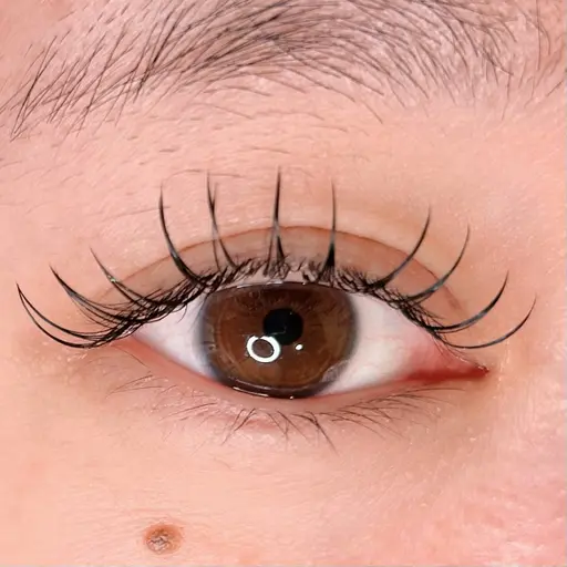 フラットラッシュ60本🎀LED変更可能(オフ込み)