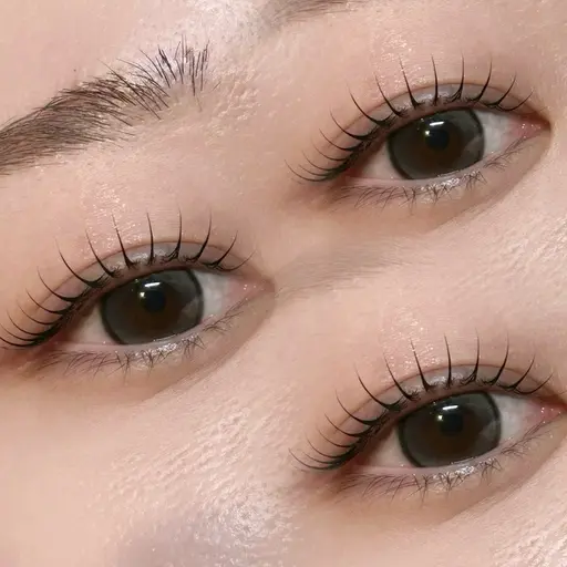 【 4月𝒄𝒐𝒖𝒑𝒐𝒏🎀】眉毛WAX ×うる艶トリートメント付きまつげパーマ¥7,500