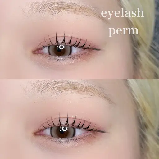 【無料モデル募集】まつげパーマ￥0 ※オフ不可※