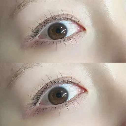 28日限定★まつ毛パーマ/下まつ毛パーマのみ