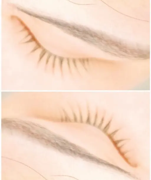 【パーマセット】デザインパーマ☆まつげ/眉毛