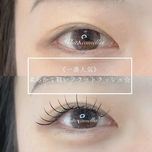 フラットラッシュ100本🫧 レッスンモデル ⚠️エクステオフある方限定