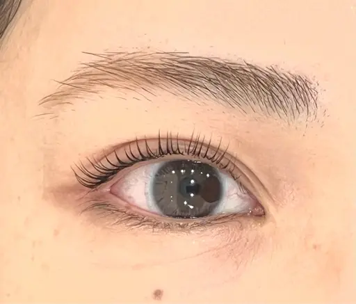 『オフなし限定』上まつ毛パーマモデル